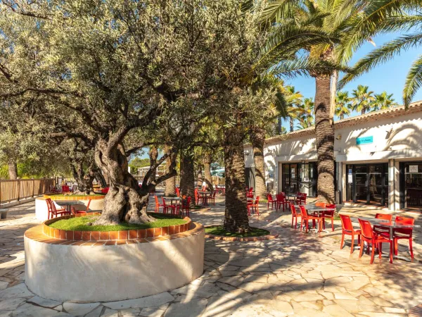 Terrasse et bar au Roan camping La Baume.