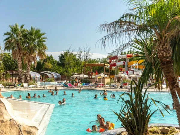 Piscine extérieure au Roan camping La Chapelle.