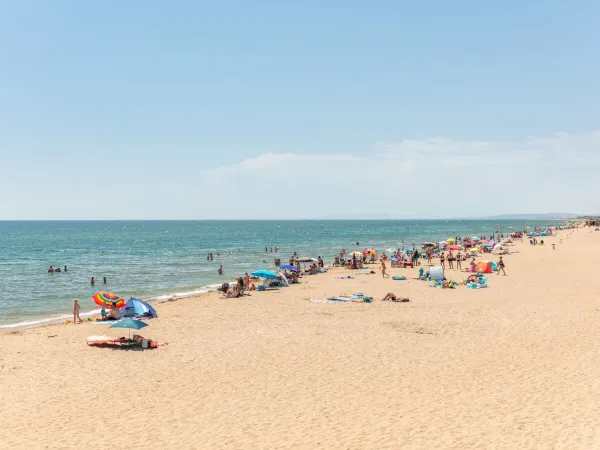 Plage de sable animée au camping Roan Méditerranée Plage.