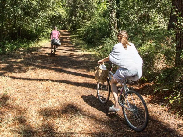 Cyclisme autour du camping Roan Sole Family Camping Village.