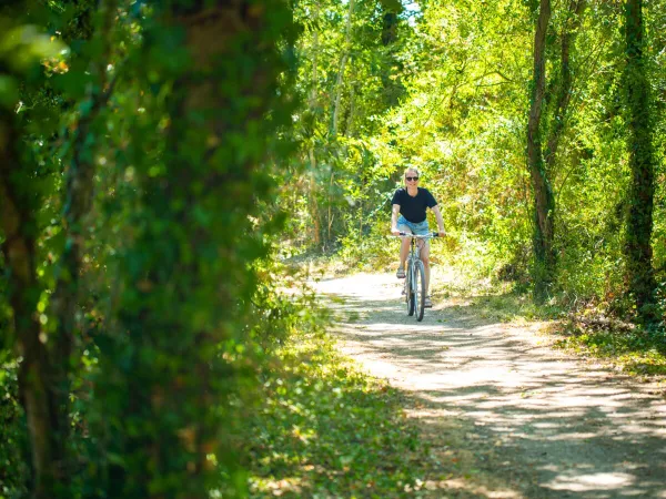 Itinéraire cycliste près du camping Roan du Latois.