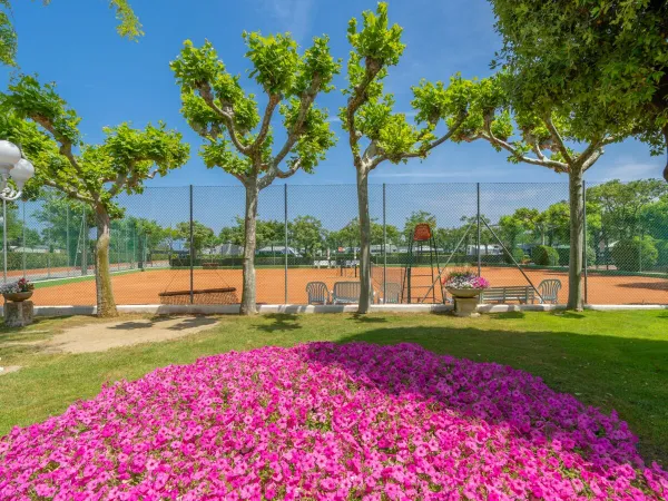 Courts de tennis au camping Roan Rubicone.