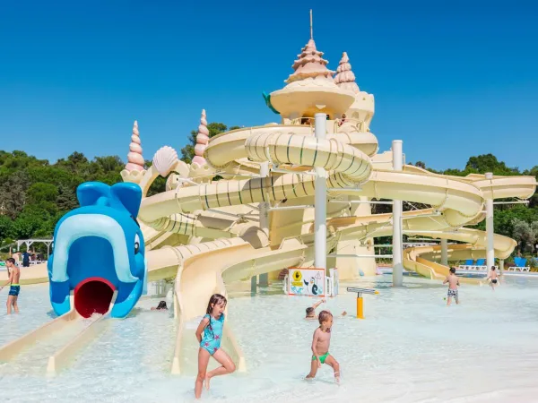 Toboggans de château au camping Roan Le Capanne.