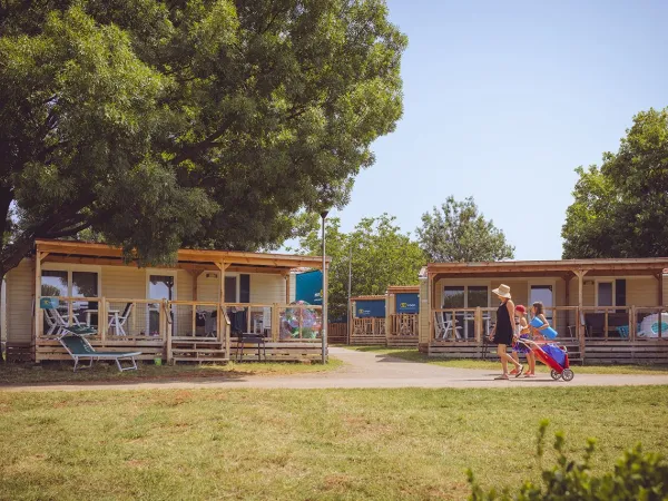 Hébergement dans le camping Park Umag.