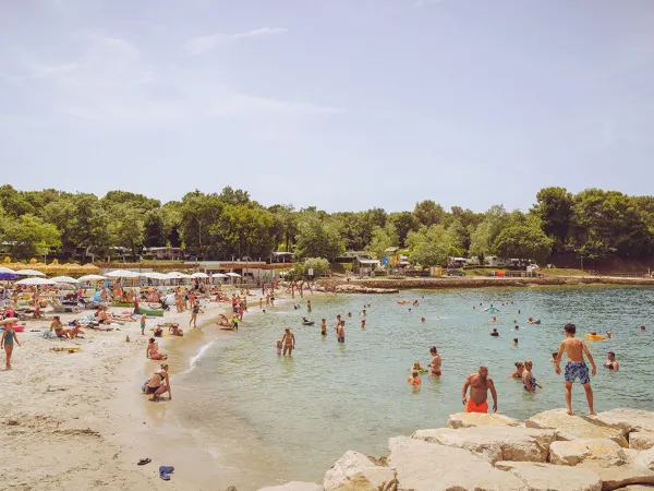 Plage de sable au camping Roan Lanterna.