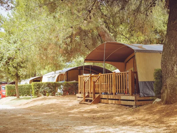 Tentes de vacances Lodgetent au camping Roan Lanterna.