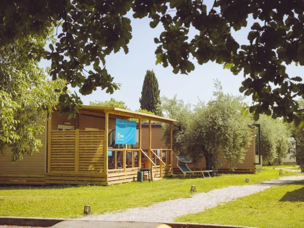 Salon suprême au Roan camping Piantelle.