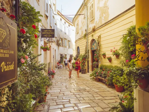 Vue d'ensemble de la ville de Porec, en Croatie.