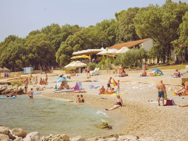 Image d'ambiance plage au camping Roan Zelena Laguna.