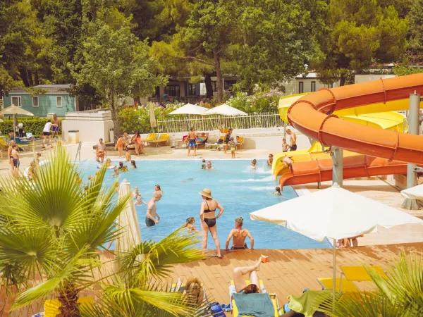 Piscine avec toboggans au camping Roan Lanterna.