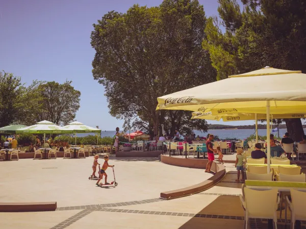 Terrasse du camping Roan Bi Village.