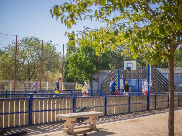 Terrain de basket au camping Roan La Sardane.