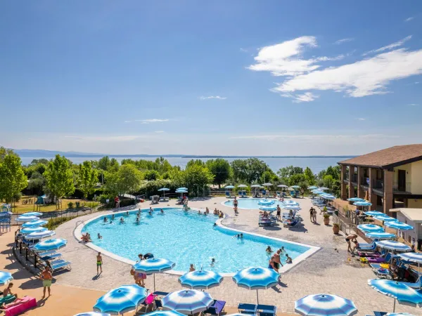 Piscine au Roan camping Piantelle.