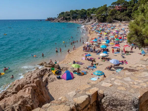 Plage de sable au camping Roan Internacional de Calonge.