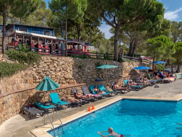 Transats au bord de la piscine du camping Roan Internacional de Calonge.