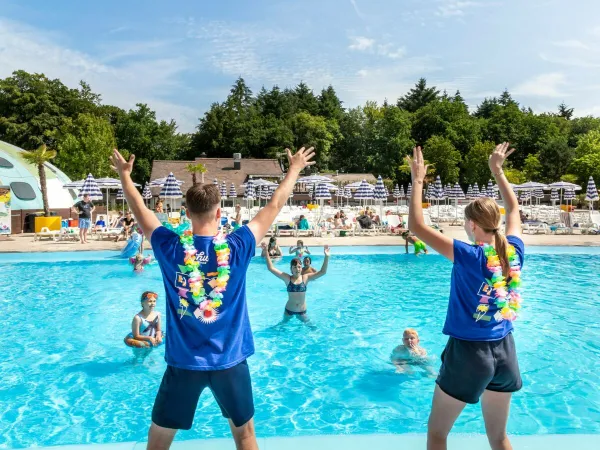 Animation de la piscine au camping Roan hu Birkelt village.
