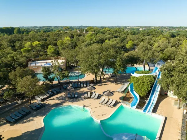 Une photo d'ensemble de la piscine du Roan camping Domaine de Massereau.