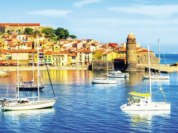 Le Port de Collioure au Roan camping Les Dunes.