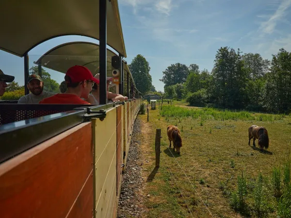 Un petit train près du camping Roan Le Chêne Gris.