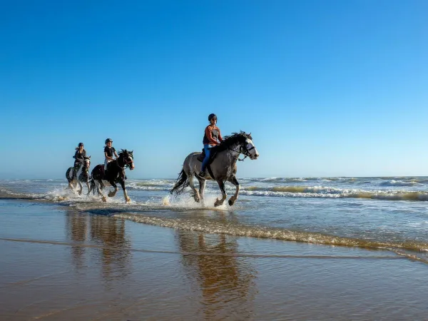 Randonnée à cheval près du camping Roan Atlantic Montalivet.