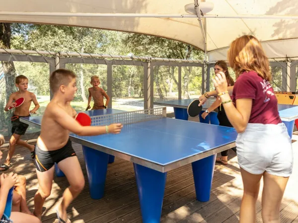 Tennis de table au camping Roan Domaine Massereau.