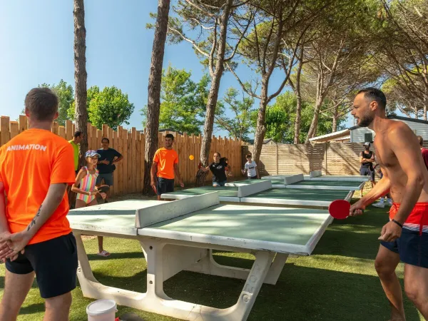 Tennis de table au camping Roan Le Castellas.