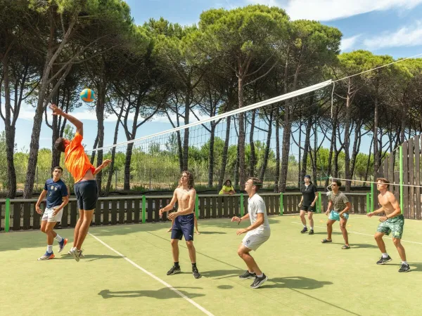 Volley-ball au camping Roan Le Castellas.