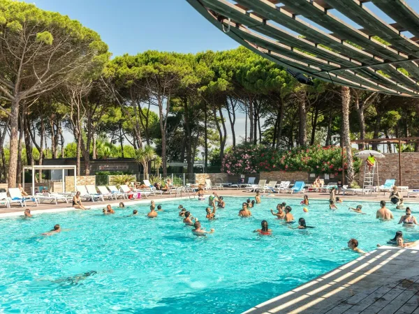 La piscine du camping Roan Le Castellas.