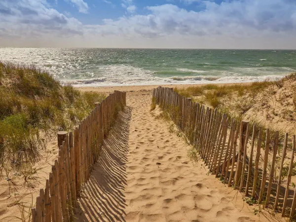 Sentier pédestre menant à la plage de sable près du camping Roan Chardons Bleus.