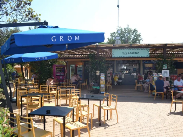 Le bar de la piscine du Roan camping Montescudaio.