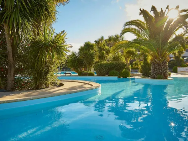 Piscine d'ambiance au camping Roan de la Grande Métairie.