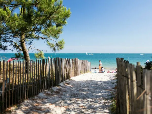 Marcher jusqu'à la plage de sable du camping Roan Grande Métairie.