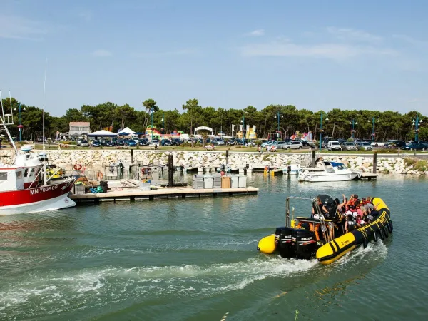 Plage de galets au camping Roan La Pinède.