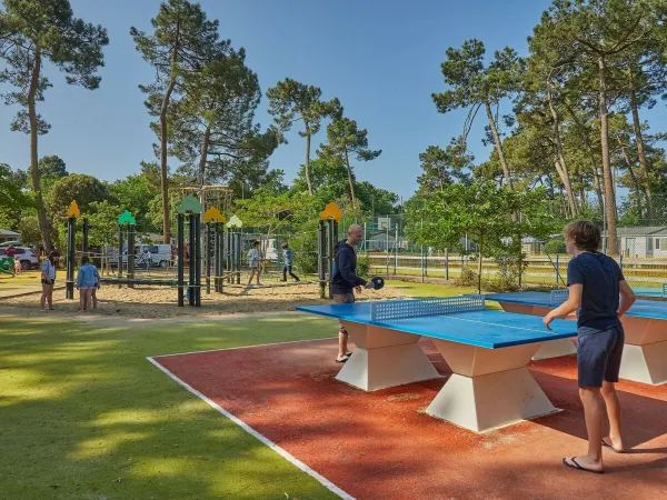 Tennis de table au camping Roan La Pinède.