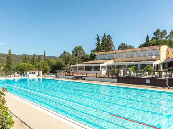 Piscine olympique au camping Roan Domaine des Naïades.