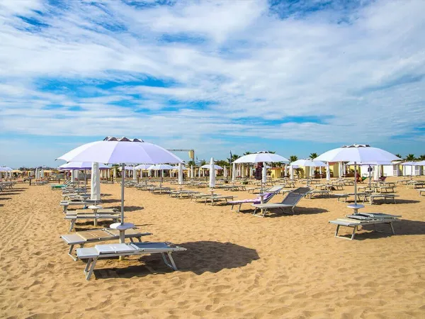 Plage avec chaises longues et parasols au camping Roan Sole Family Camping Village.