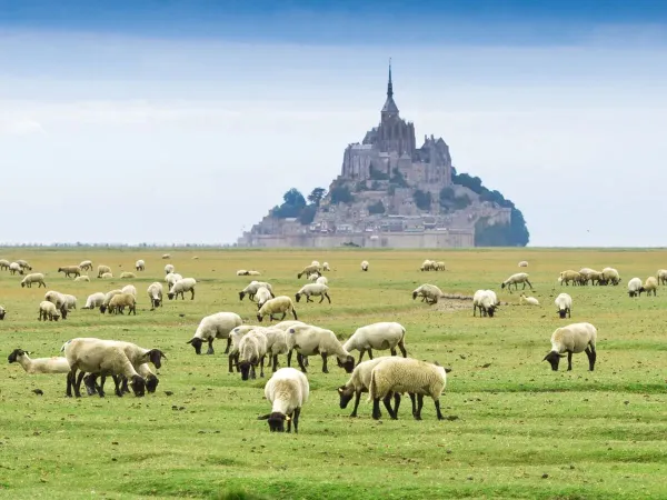 Les environs de la Bretagne près du camping Roan La Vallée.