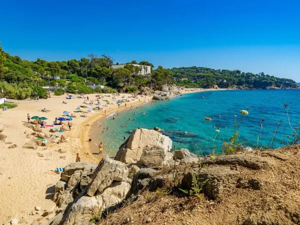 La plage du camping Roan Cala Gogo.