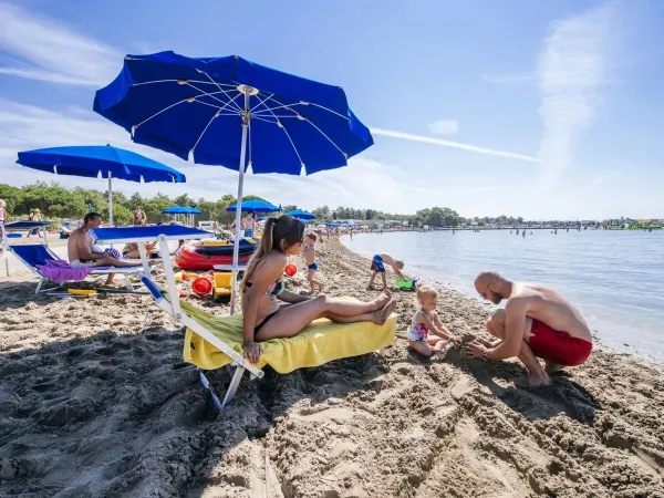 Plage avec chaises longues au camping Roan Zaton Holiday Resort.