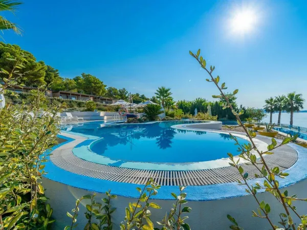 Piscine au camping Roan Amadria Park Trogir.