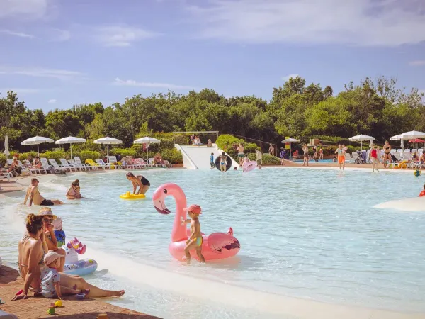 Piscine lagon au camping Roan hu Montescudaio village.