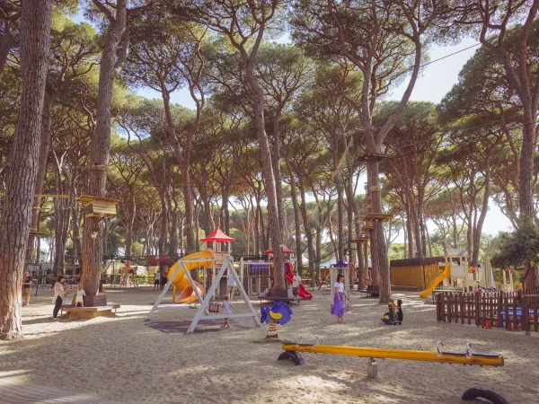 Aire de jeux et parcours d'escalade au camping Roan hu Park Albatros village.