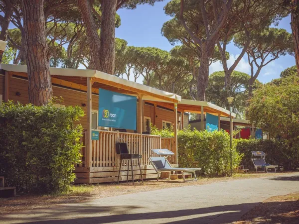 Rue avec Premium Lounge Mobil-homes 2 chambres à Roan camping hu Park Albatros village.