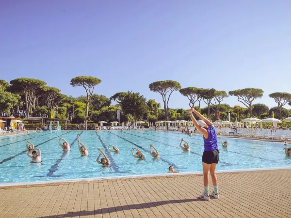 Animation dans la piscine du camping Roan hu Park Albatros village.