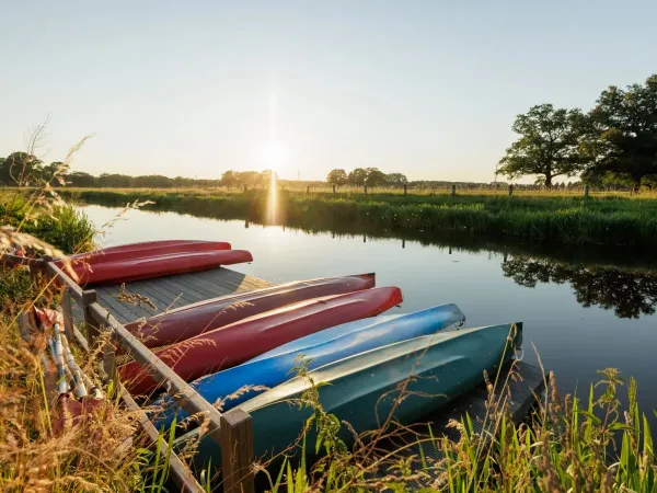 Location de canoës au camping Roan De Twee Bruggen.