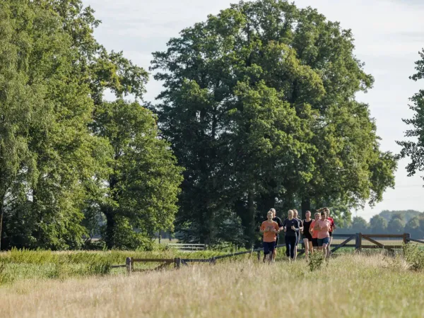 Des personnes font du sport en plein air au camping Roan De Twee Bruggen.