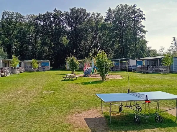 Terrain de jeu et table de ping-pong au camping Roan De Twee Bruggen.