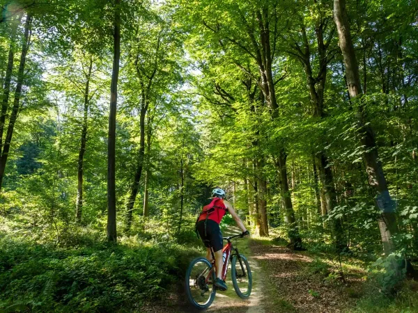 Vélo de montagne dans la belle campagne luxembourgeoise au camping Roan hu Birkelt village.