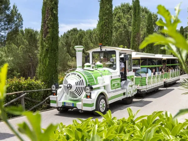 Petit train au camping Roan hu Norcenni Girasole village.