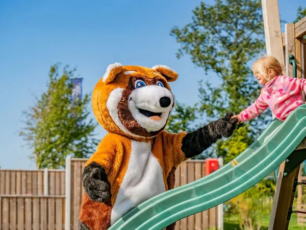 Mascotte Homy au camping Roan Marvilla Parks Friese Meren.